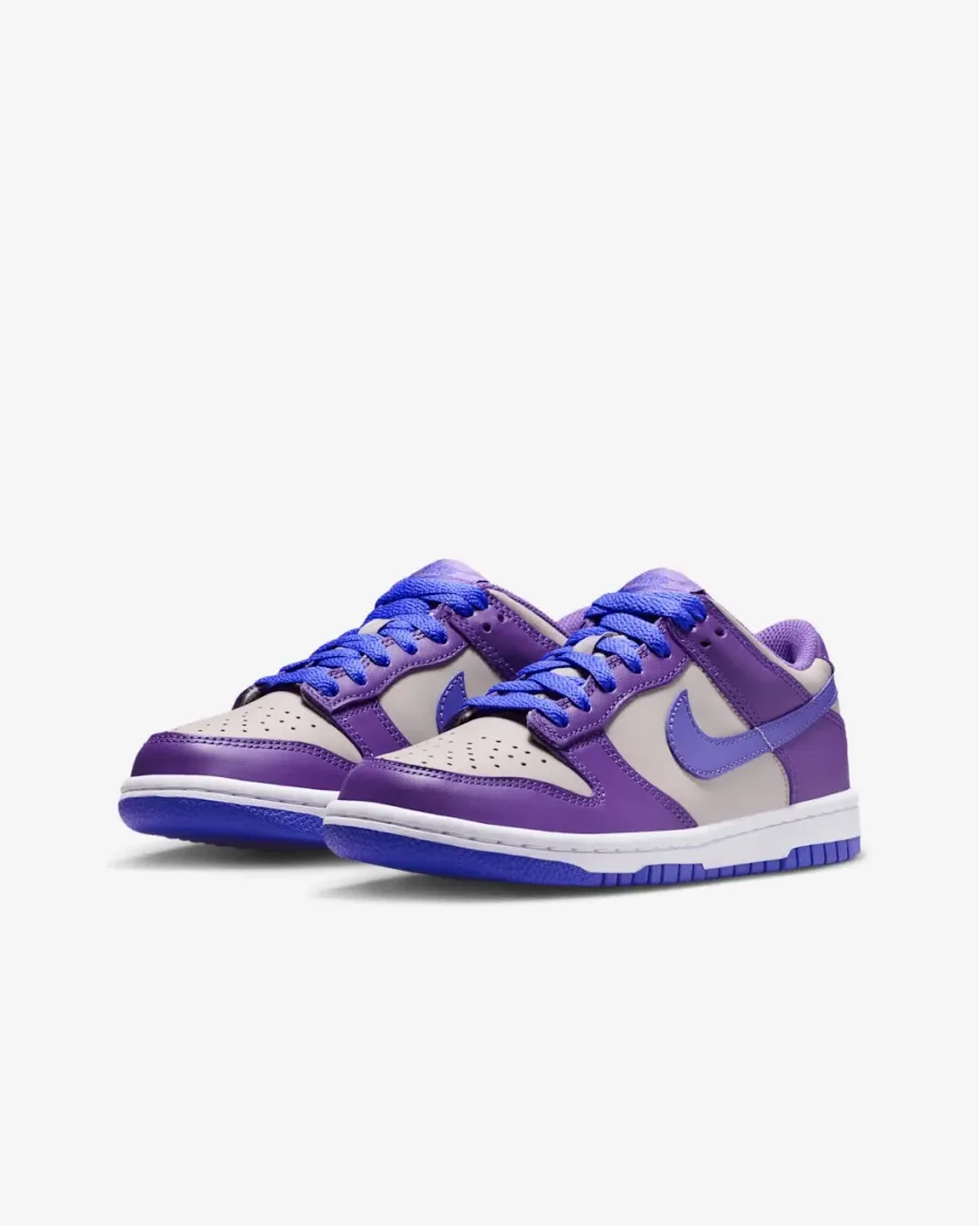 Кросівки Nike Dunk Low FB9109-007
