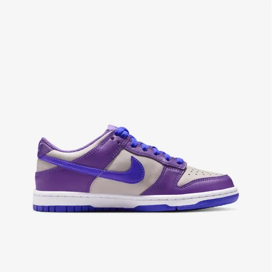 Кросівки Nike Dunk Low FB9109-007