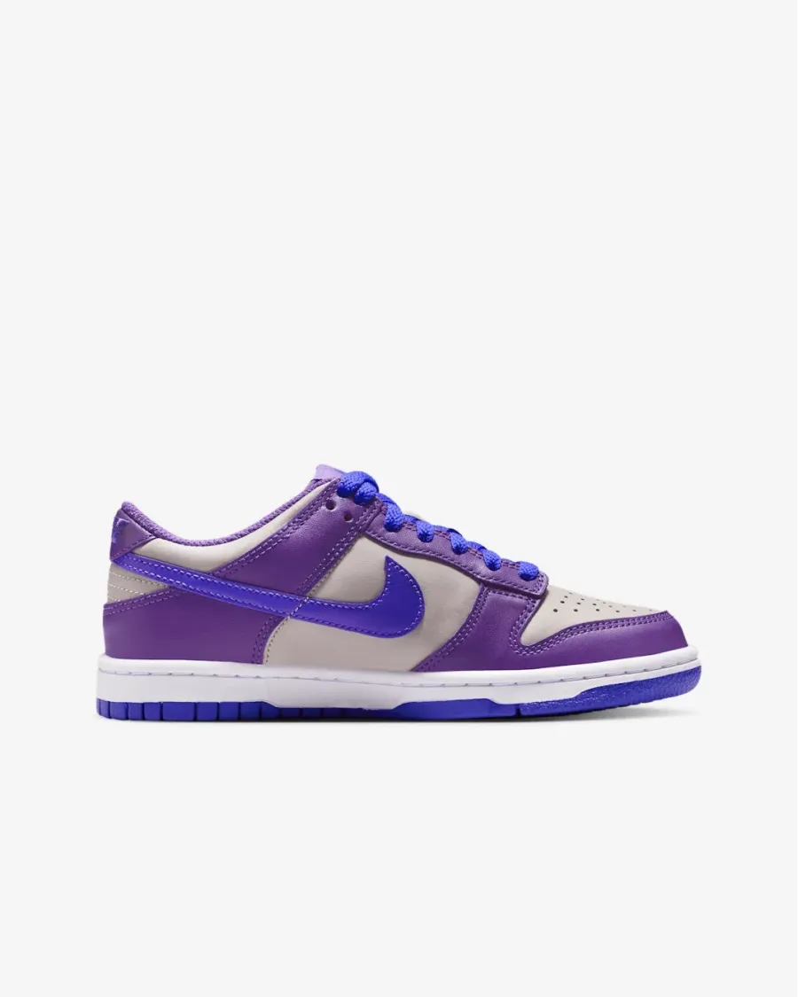 Кросівки Nike Dunk Low FB9109-007