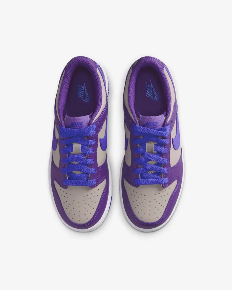 Кросівки Nike Dunk Low FB9109-007