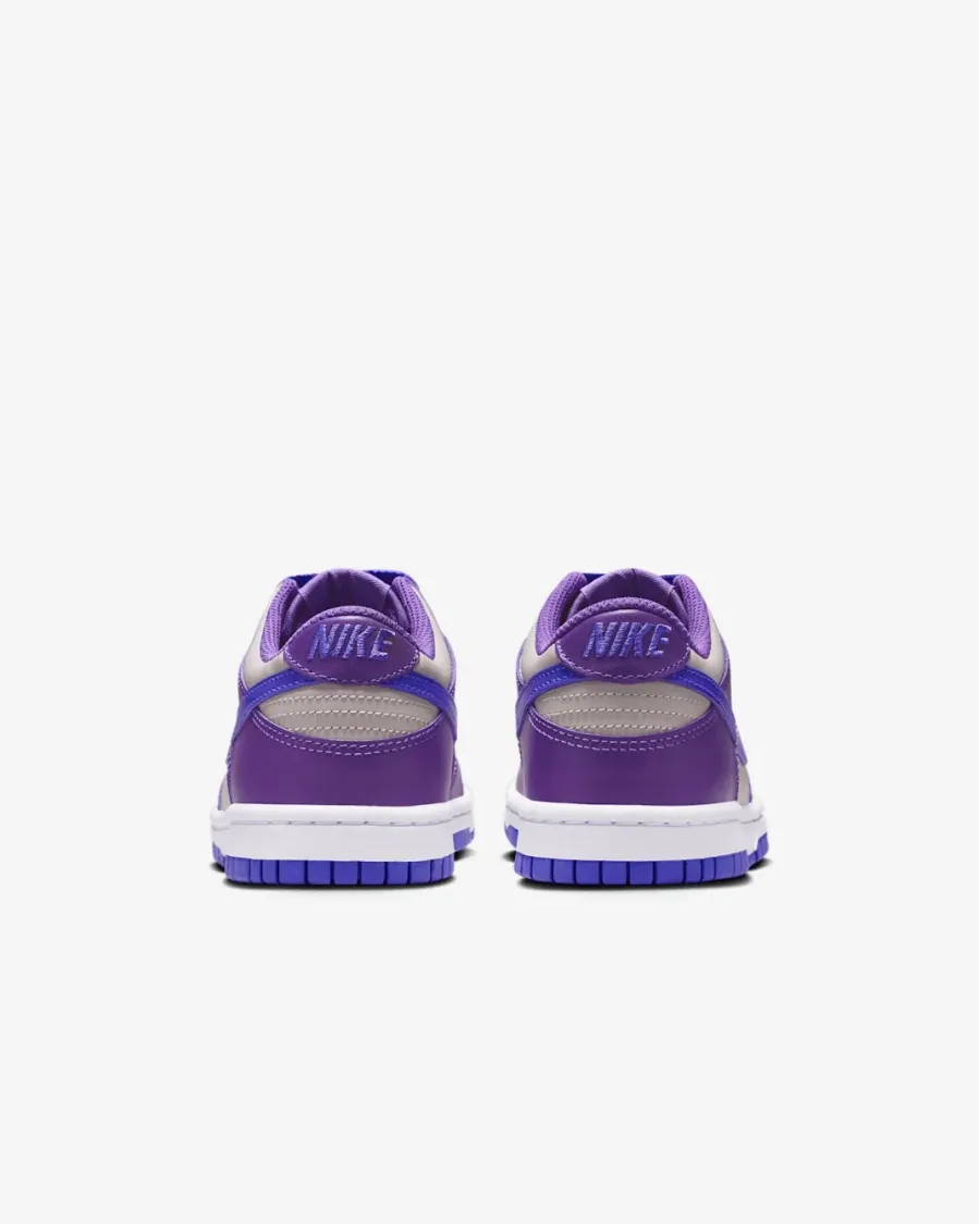 Кросівки Nike Dunk Low FB9109-007