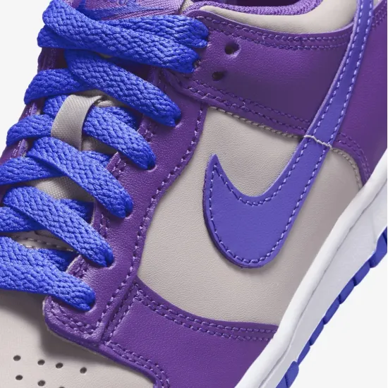 Кросівки Nike Dunk Low FB9109-007