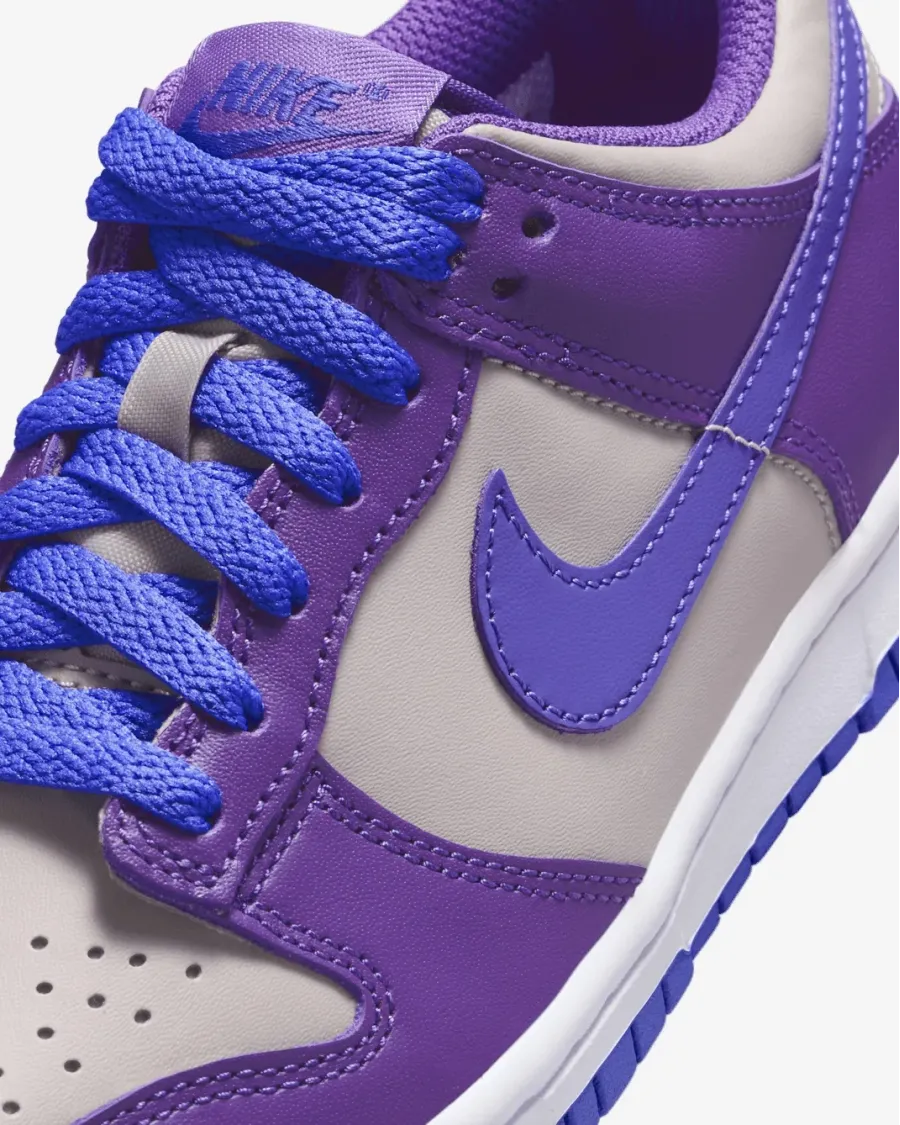 Кросівки Nike Dunk Low FB9109-007