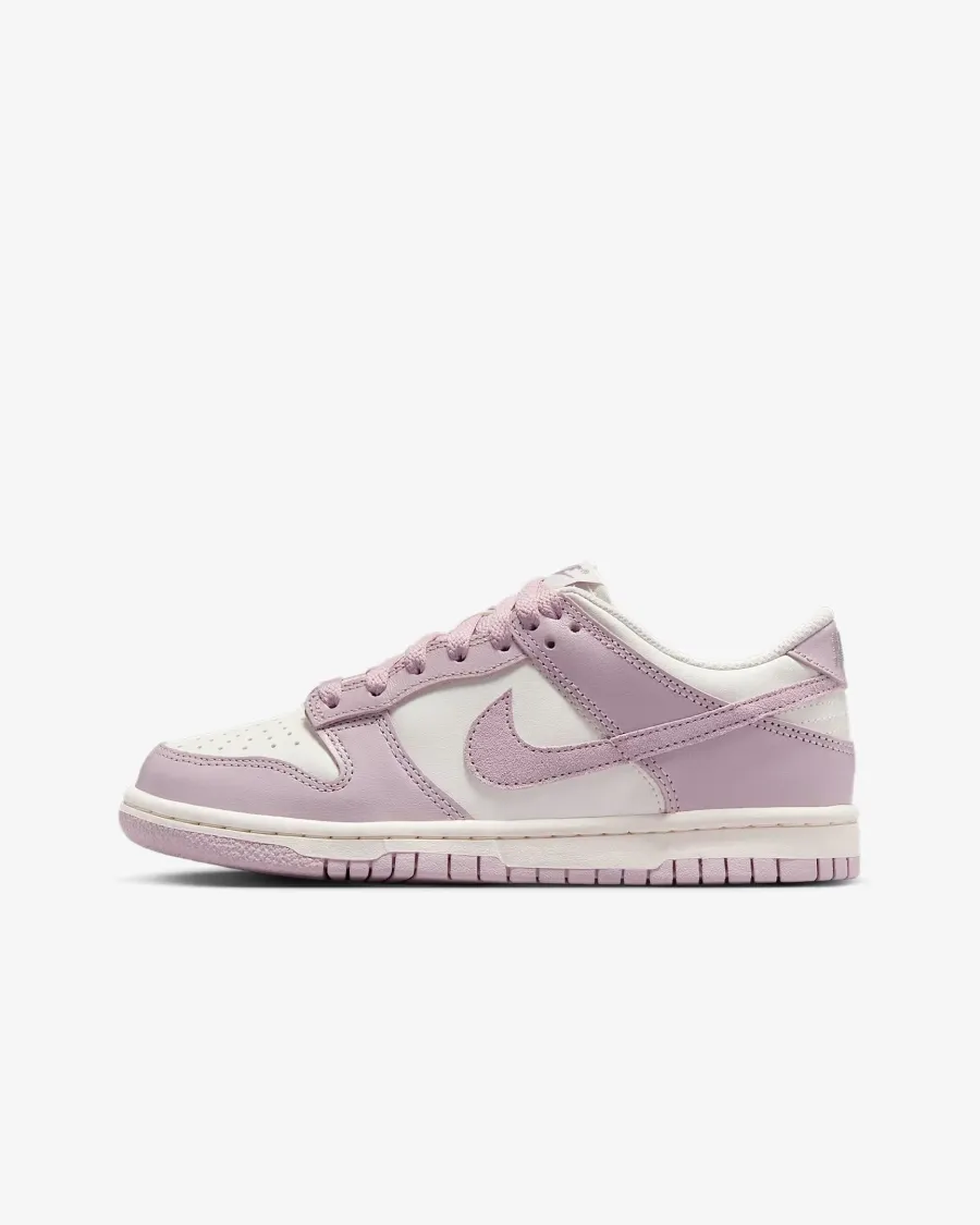 Кросівки Nike Dunk Low FB9109-122
