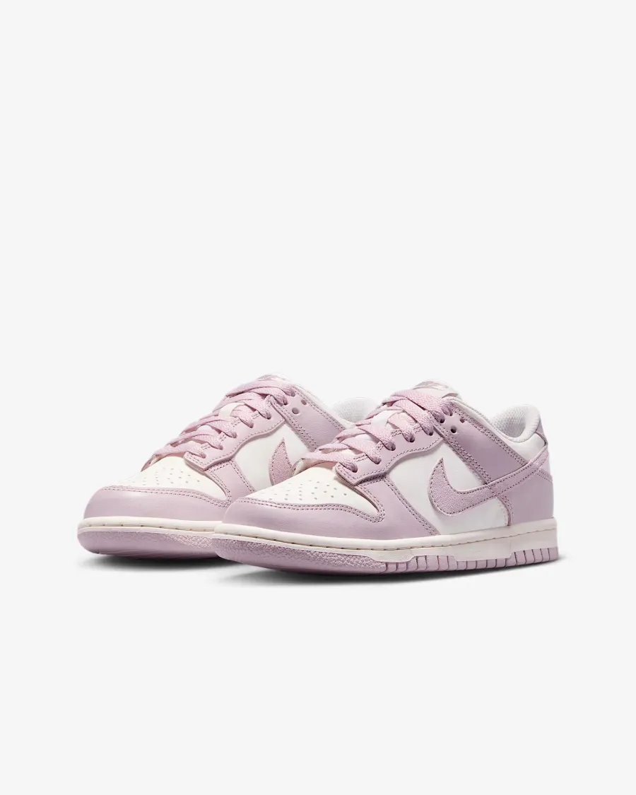 Кросівки Nike Dunk Low FB9109-122