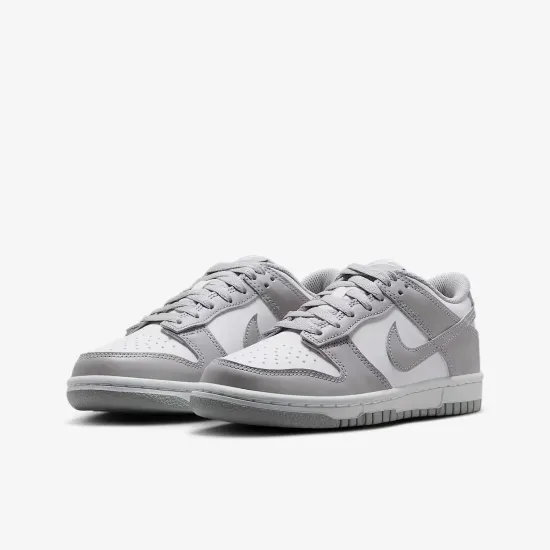 Кросівки Nike Dunk Low FB9109-123