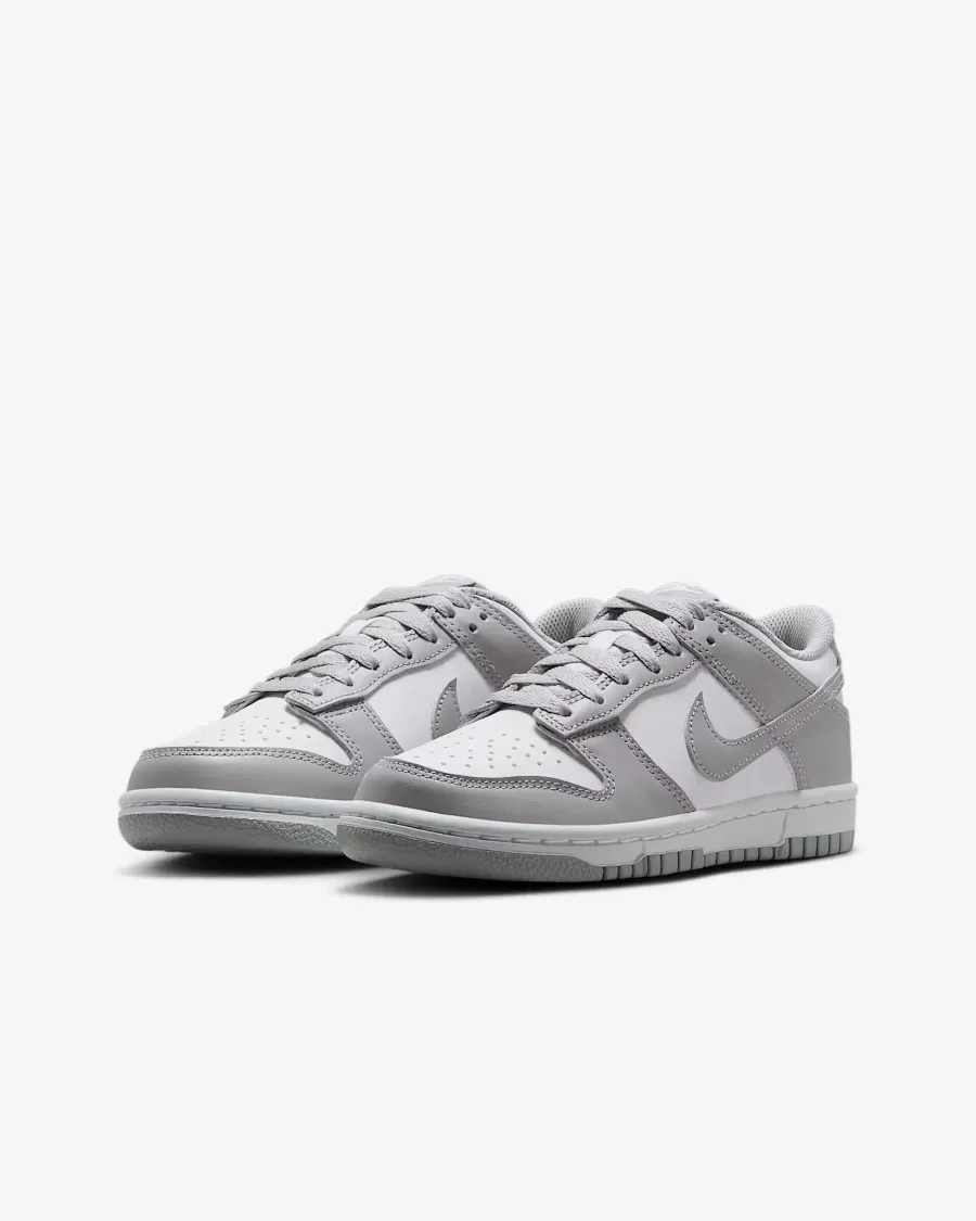 Кросівки Nike Dunk Low FB9109-123