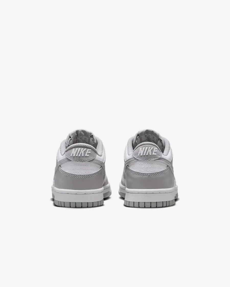 Кросівки Nike Dunk Low FB9109-123
