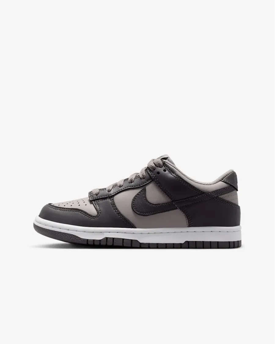 Кросівки Nike Dunk Low FB9109-203