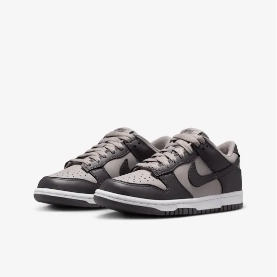 Кросівки Nike Dunk Low FB9109-203