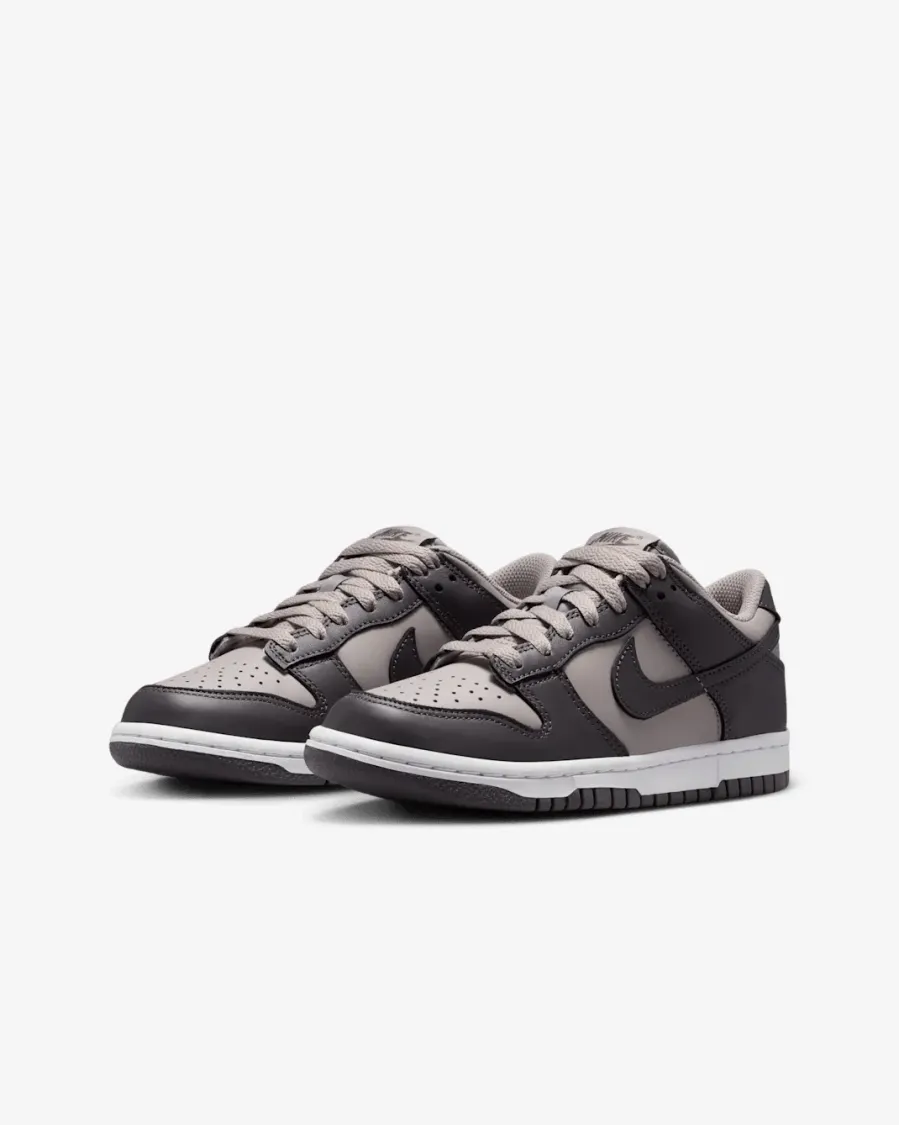 Кросівки Nike Dunk Low FB9109-203