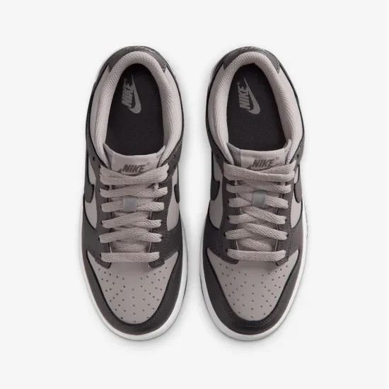 Кросівки Nike Dunk Low FB9109-203