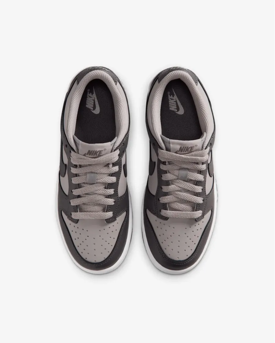 Кросівки Nike Dunk Low FB9109-203