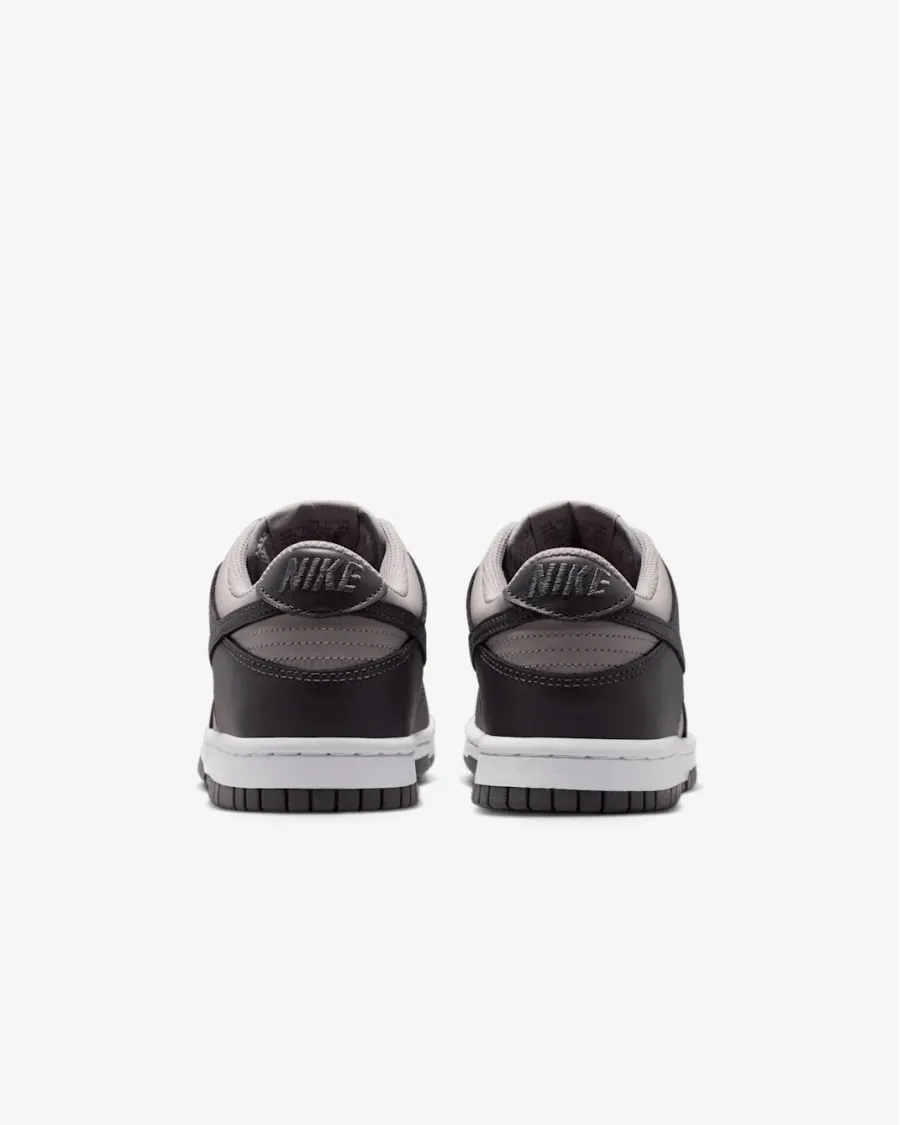 Кросівки Nike Dunk Low FB9109-203