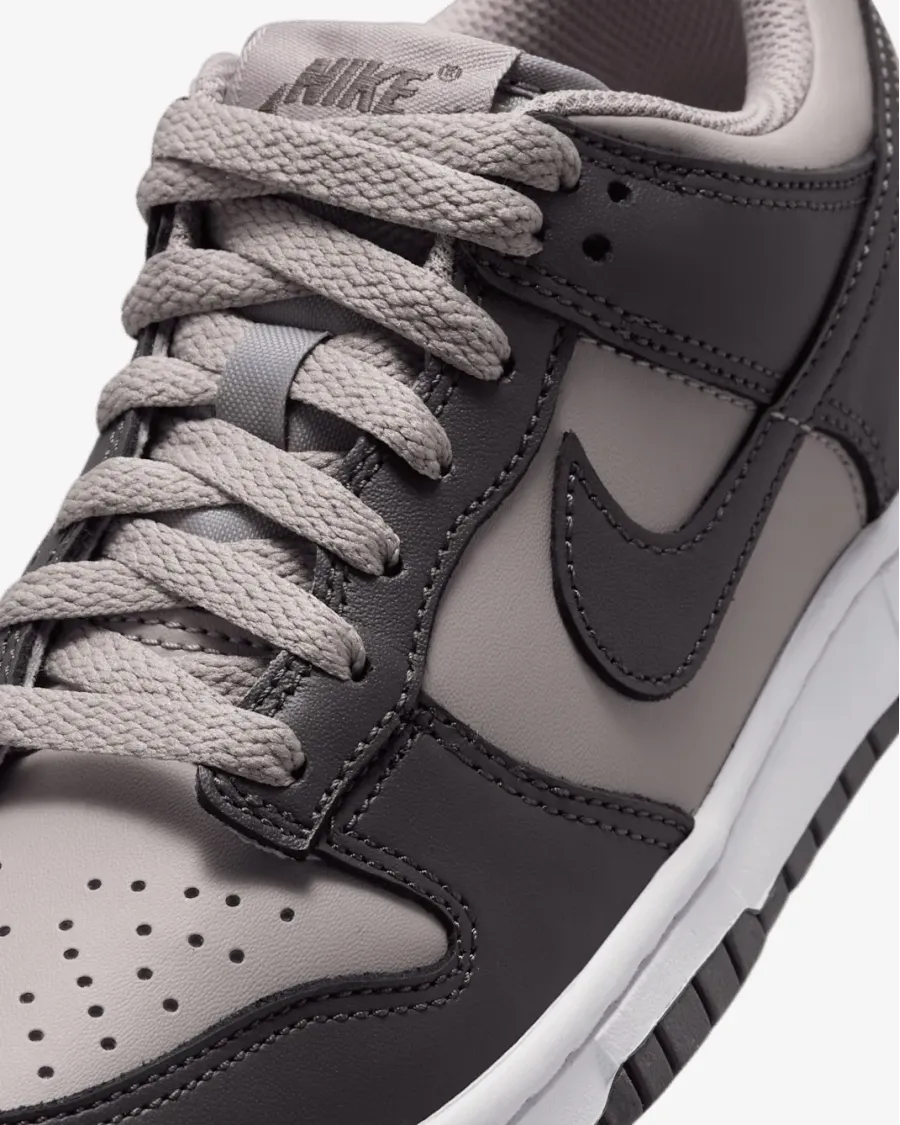Кросівки Nike Dunk Low FB9109-203