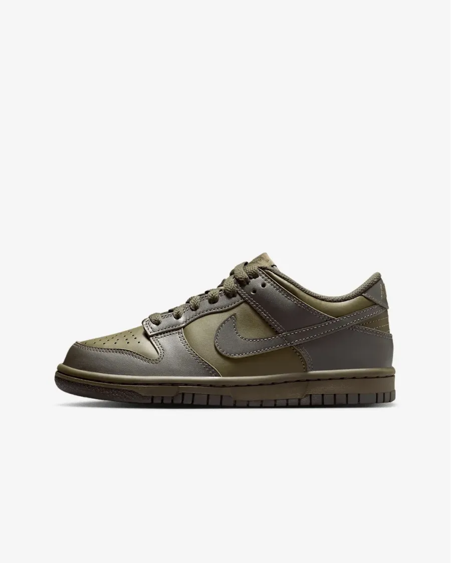 Кросівки Nike Dunk Low FB9109-302