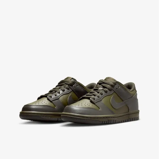 Кросівки Nike Dunk Low FB9109-302