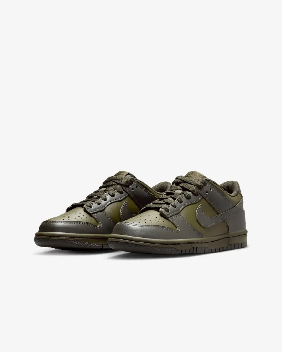 Кросівки Nike Dunk Low FB9109-302