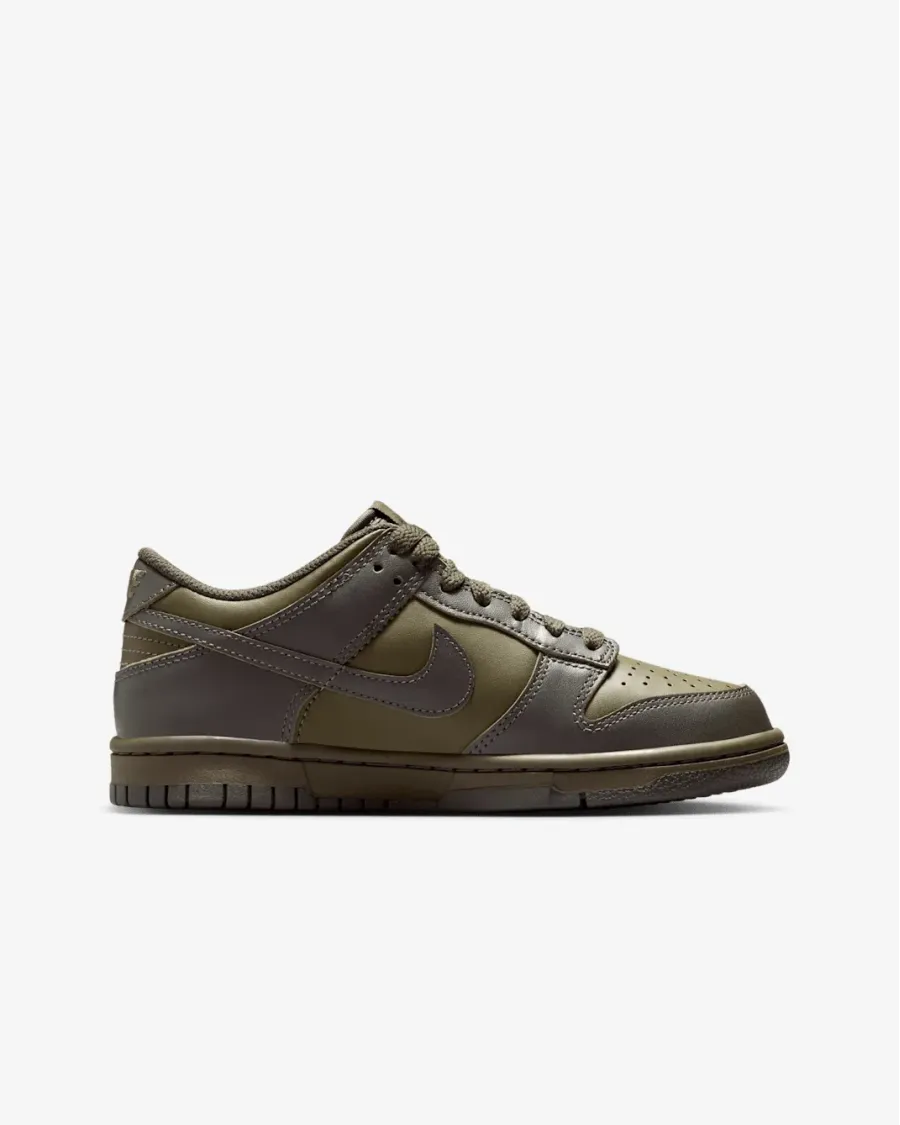 Кросівки Nike Dunk Low FB9109-302