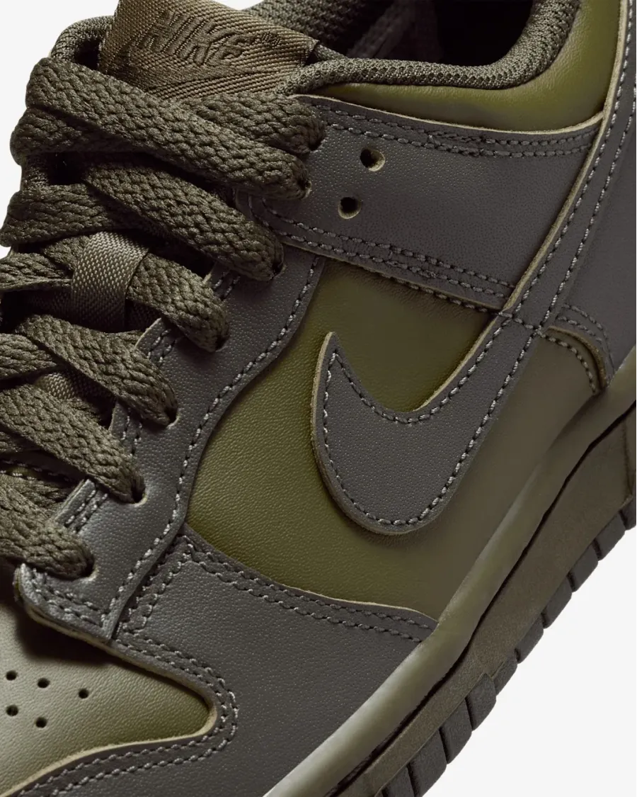 Кросівки Nike Dunk Low FB9109-302