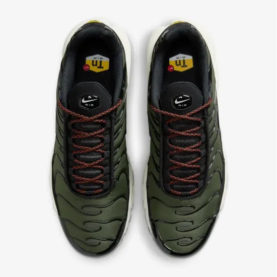 Кросівки Nike Air Max Plus FB9722-300