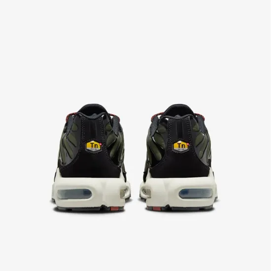 Кросівки Nike Air Max Plus FB9722-300