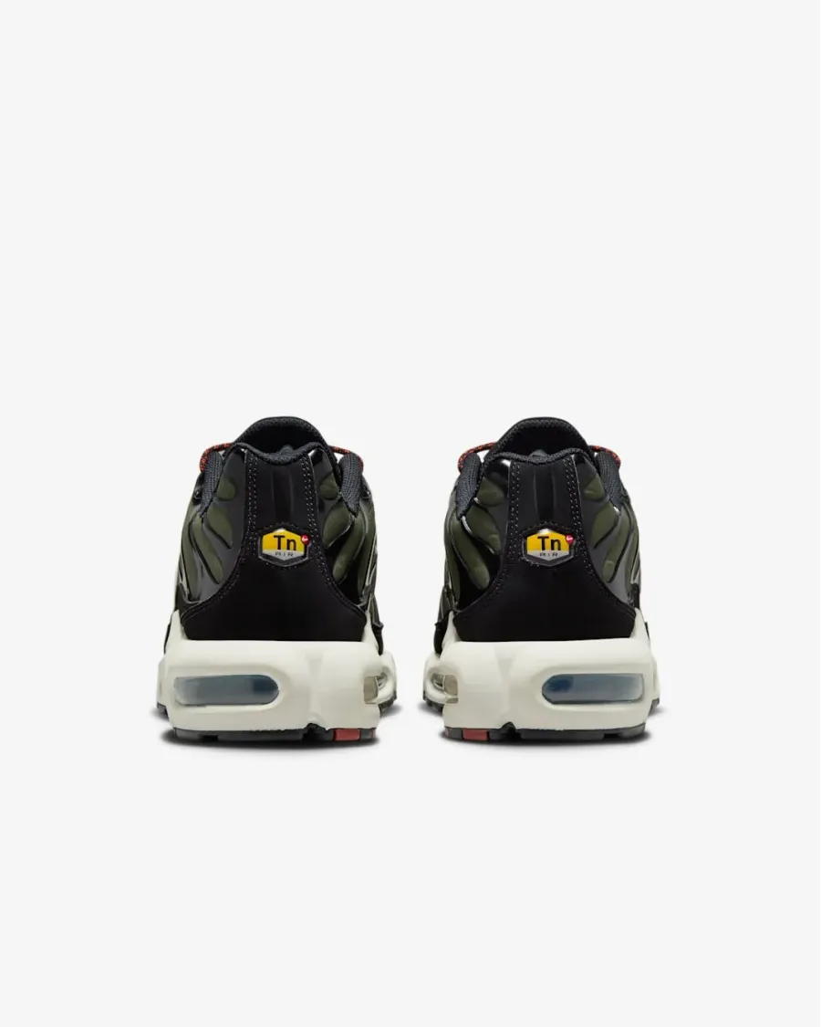 Кросівки Nike Air Max Plus FB9722-300