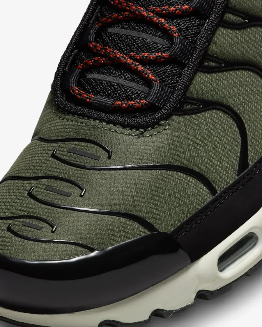 Кросівки Nike Air Max Plus FB9722-300