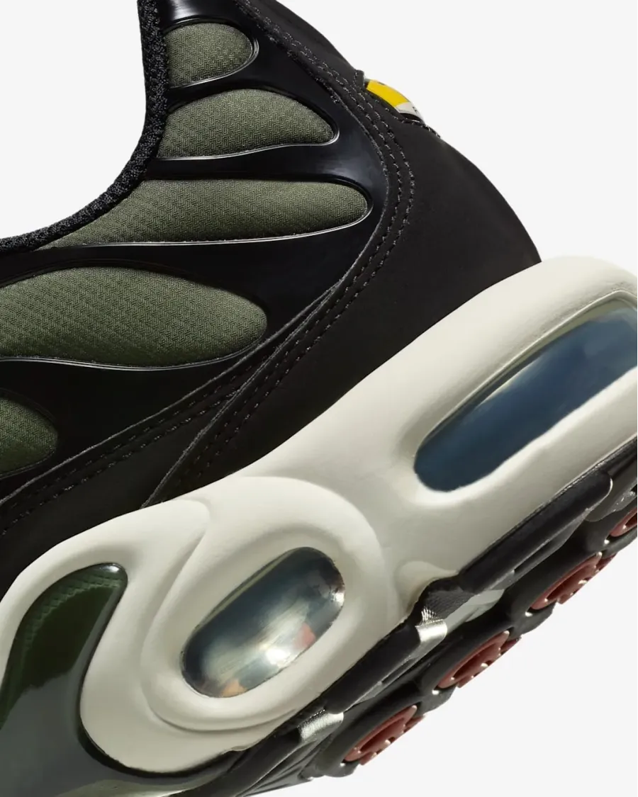 Кросівки Nike Air Max Plus FB9722-300
