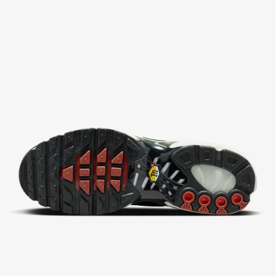 Кросівки Nike Air Max Plus FB9722-300