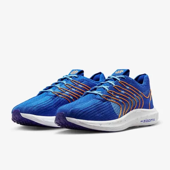Кросівки Nike Pegasus Turbo Next Nature FD0717-400