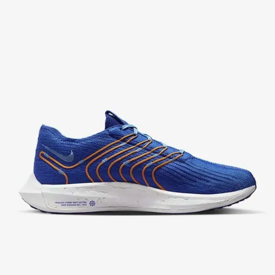 Кросівки Nike Pegasus Turbo Next Nature FD0717-400