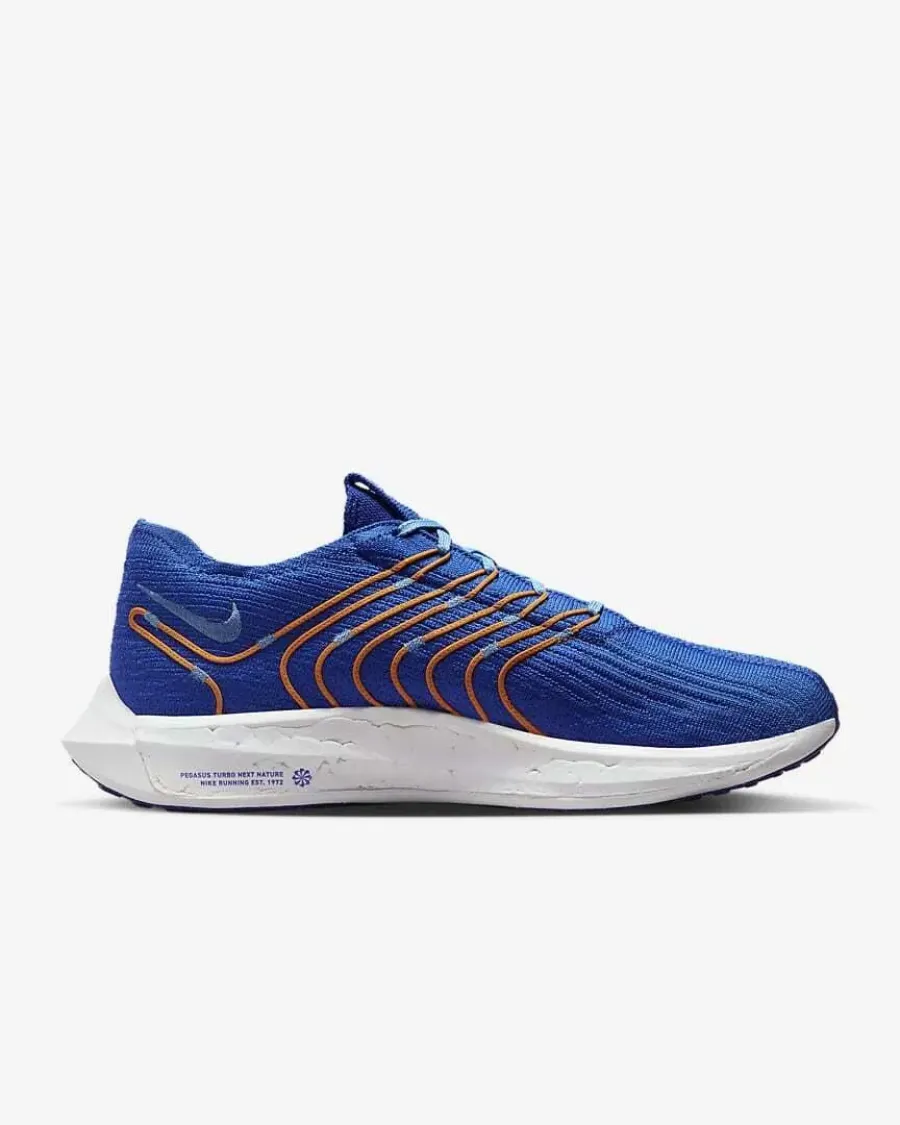 Кросівки Nike Pegasus Turbo Next Nature FD0717-400