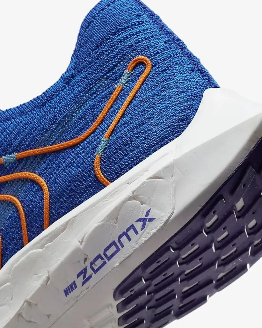 Кросівки Nike Pegasus Turbo Next Nature FD0717-400