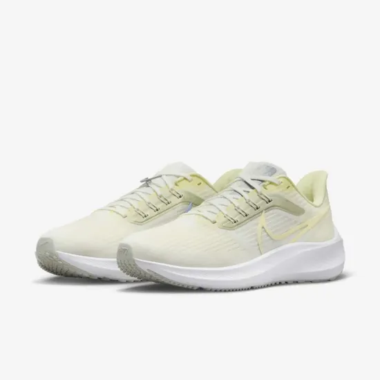 Кросівки Nike Air Zoom Pegasus 39 FD0796-100