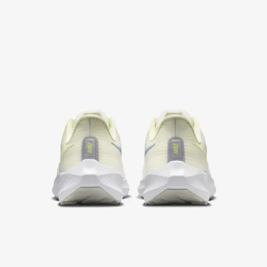 Кросівки Nike Air Zoom Pegasus 39 FD0796-100