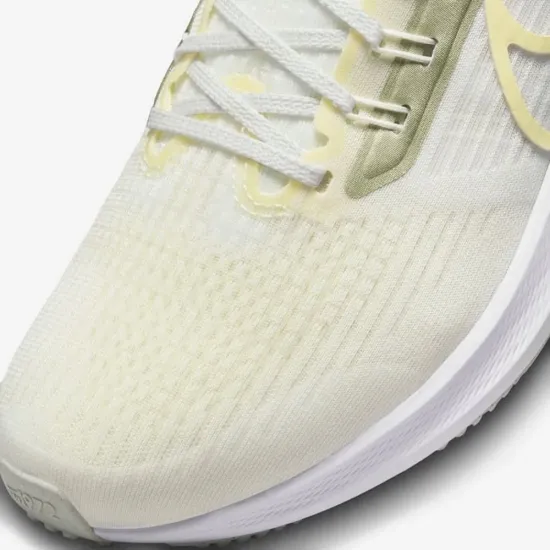 Кросівки Nike Air Zoom Pegasus 39 FD0796-100