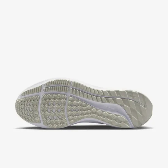 Кросівки Nike Air Zoom Pegasus 39 FD0796-100