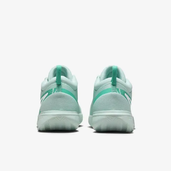Кросівки Nike Court Zoom Pro Clay FD1156-300