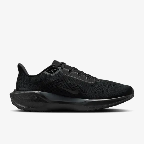 Кросівки Nike Air Zoom Pegasus 41 FD2722-001