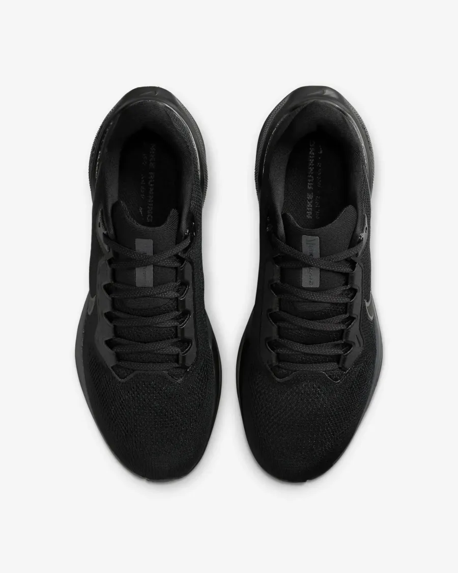 Кросівки Nike Air Zoom Pegasus 41 FD2722-001