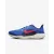 Кросівки Nike Air Zoom Pegasus 41 FD2722-401