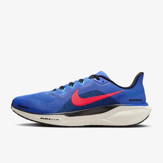 Кросівки Nike Air Zoom Pegasus 41 FD2722-401