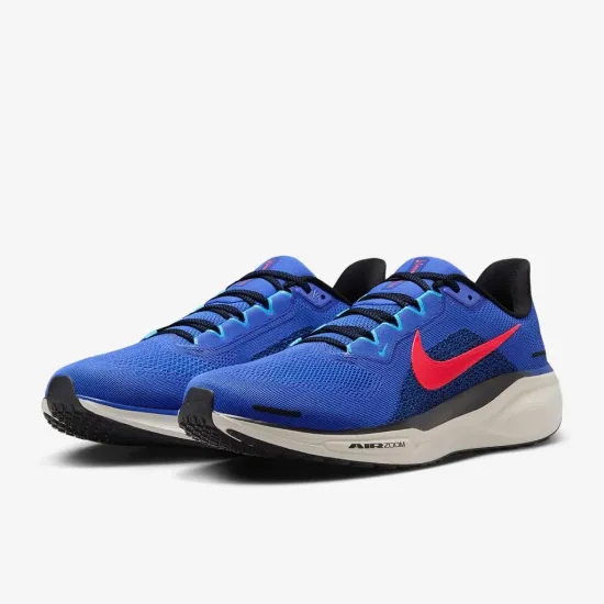 Кросівки Nike Air Zoom Pegasus 41 FD2722-401