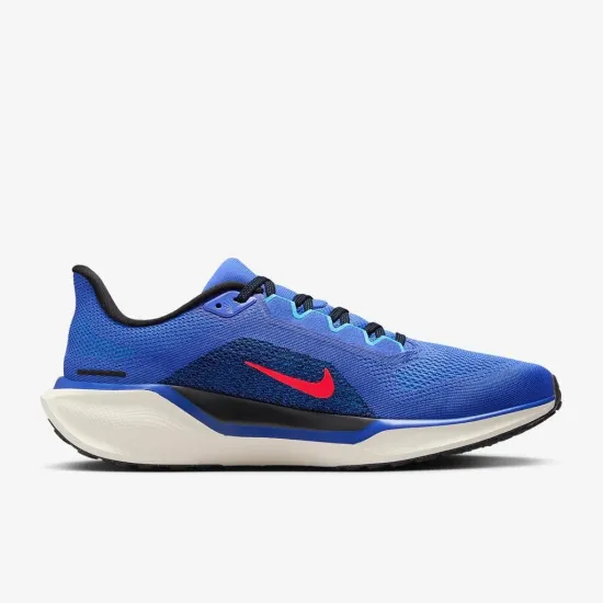 Кросівки Nike Air Zoom Pegasus 41 FD2722-401