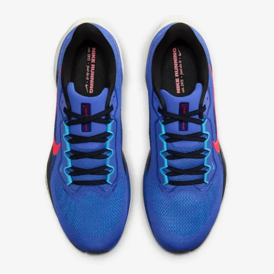 Кросівки Nike Air Zoom Pegasus 41 FD2722-401
