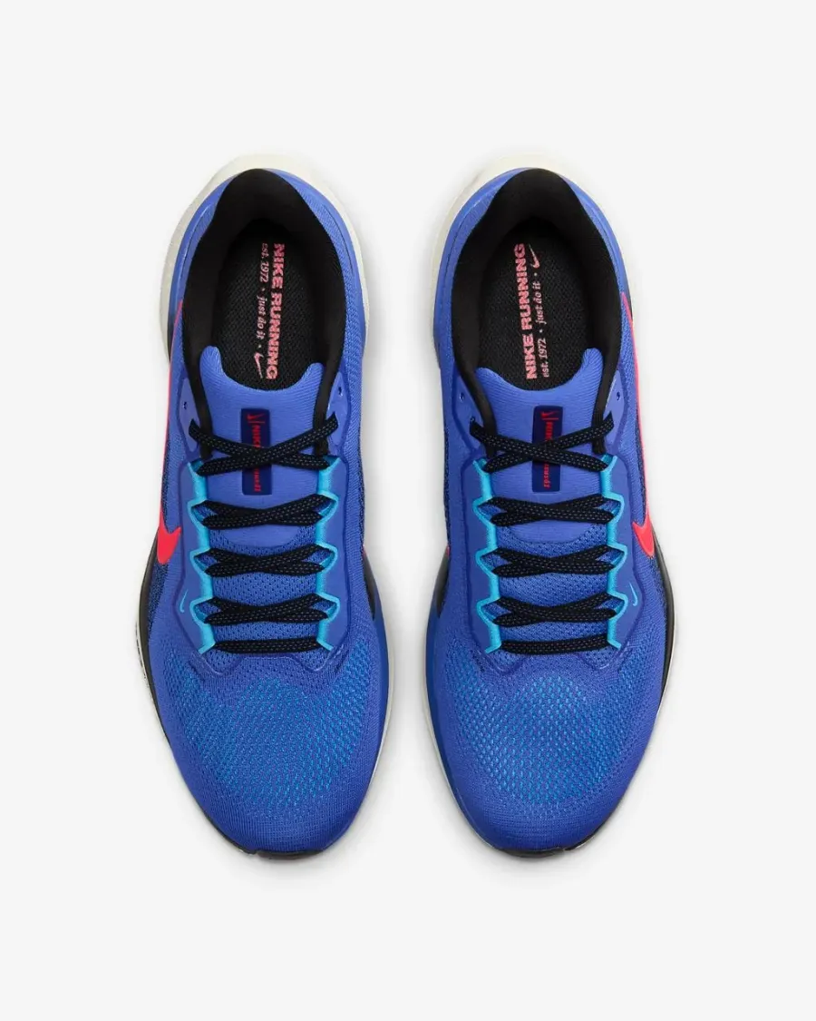 Кросівки Nike Air Zoom Pegasus 41 FD2722-401