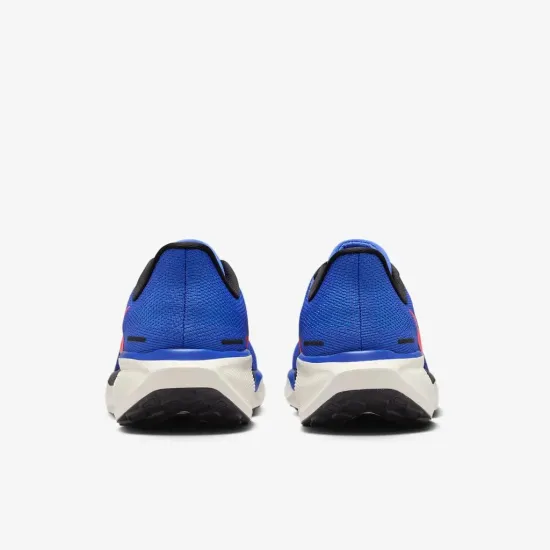 Кросівки Nike Air Zoom Pegasus 41 FD2722-401