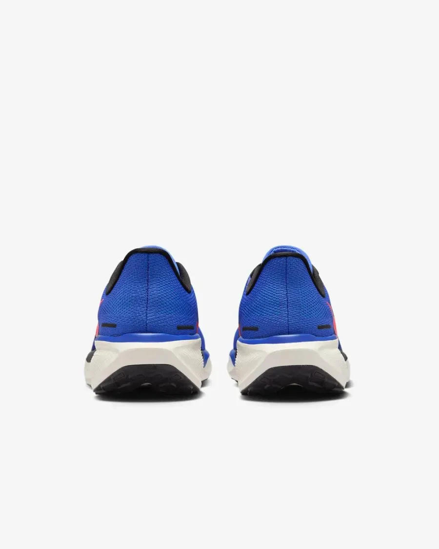 Кросівки Nike Air Zoom Pegasus 41 FD2722-401