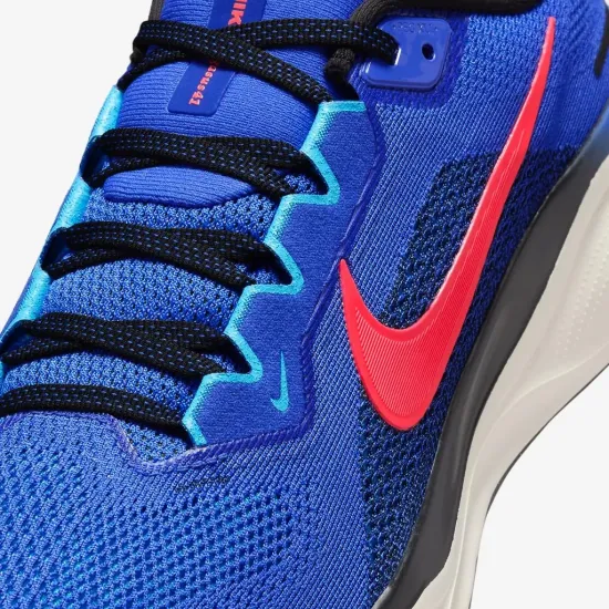 Кросівки Nike Air Zoom Pegasus 41 FD2722-401